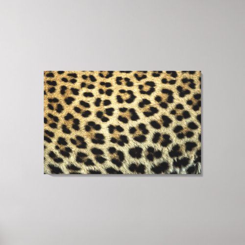 Close up of Leopard spots Africa Canvas Print