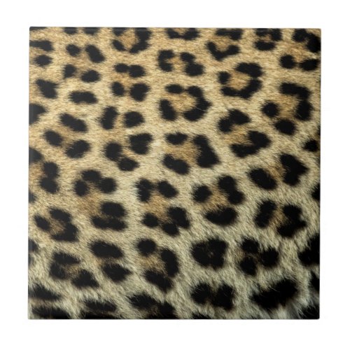 Close up of Leopard spots Africa Tile