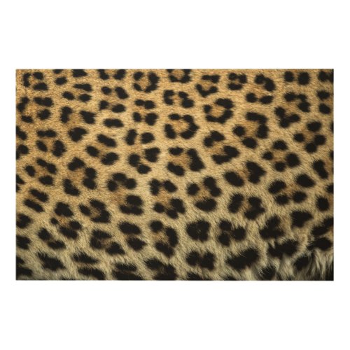 Close up of Leopard spots Africa Wood Wall Art