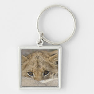 Close up of lion cub's face keychain