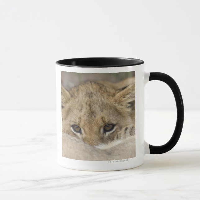 Close up of lion cub's face mug (Right)