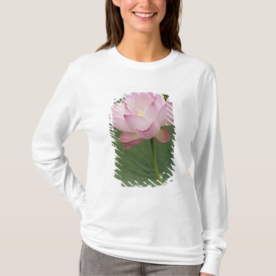 Close up of Lotus flower, Nelumbo nucifera), T-Shirt