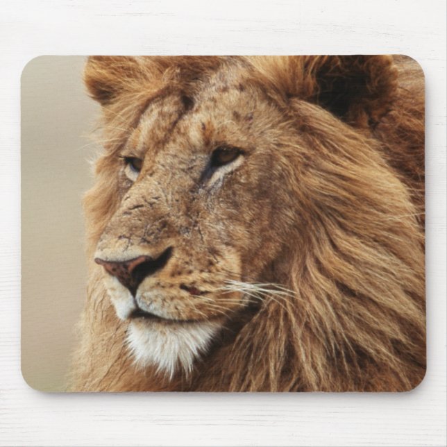 Close-up of male Lion Mouse Pad (Front)