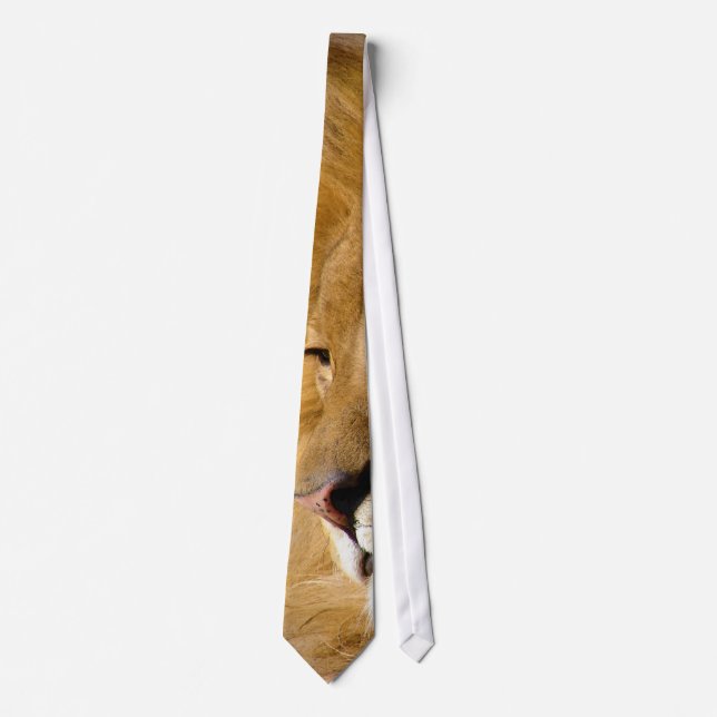 Close Up of Male Lion's Head Face Neck Tie (Front)