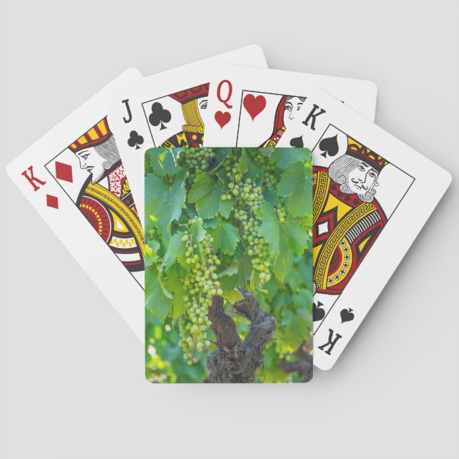 Close Up Of Maturing Grapes Poker Cards (Back)