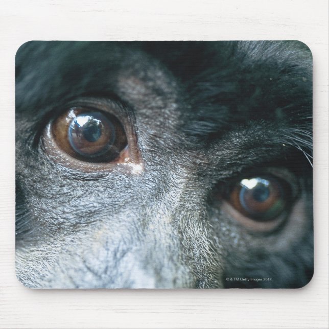 Close-up of monkey mouse pad (Front)