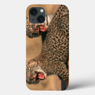 Close-Up Of New Born Leopard (Panthera Pardus) iPhone 13 Case