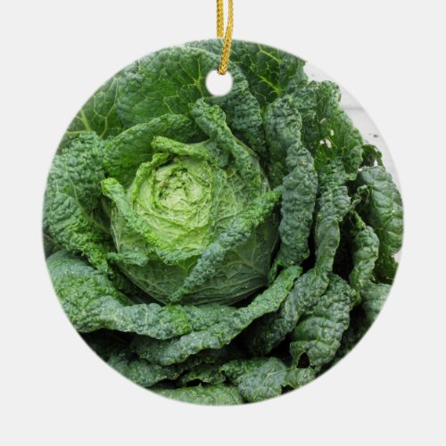 Close up of organic Savoy cabbage just hand picked Ceramic Ornament
