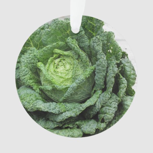 Close up of organic Savoy cabbage just hand picked Ornament