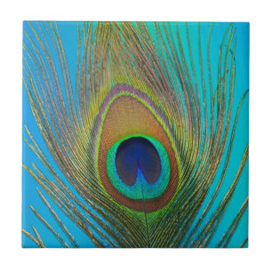 Close up of peacock feather ceramic tile