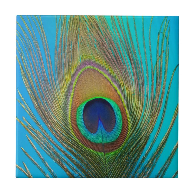 Close up of peacock feather ceramic tile (Front)