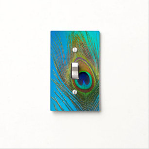 Close up of peacock feather light switch cover