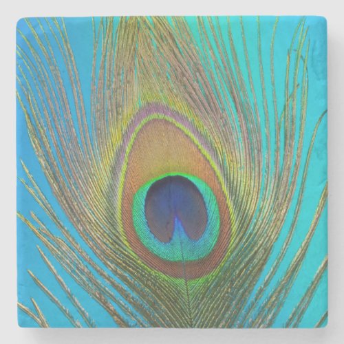Close up of peacock feather stone coaster