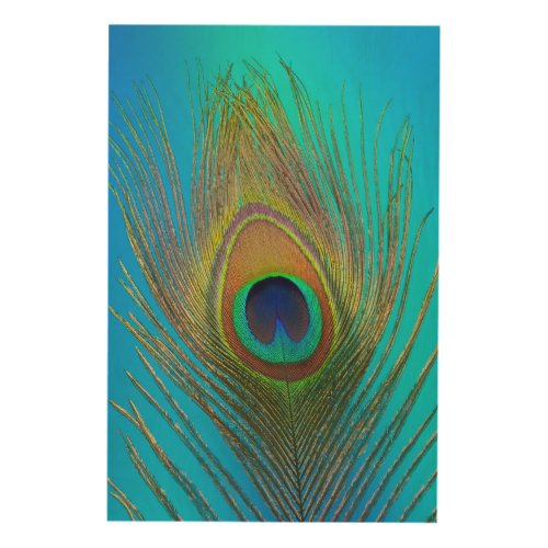 Close up of peacock feather wood wall decor