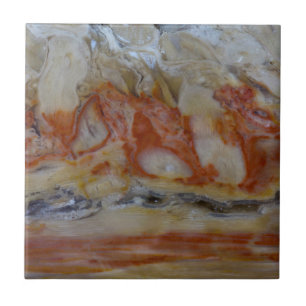 Close Up Of Petrified Wood Ceramic Tile