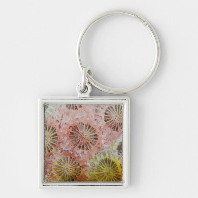 Close Up Of Pink Coral Keychain (Front)