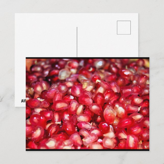 Close up of Pomegranate Seeds Postcard (Front/Back)
