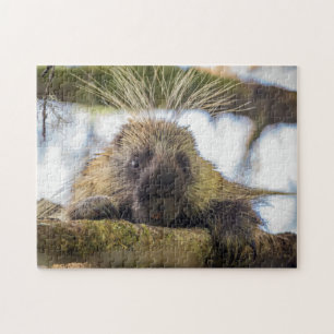 Close-up of porcupine in a tree jigsaw puzzle