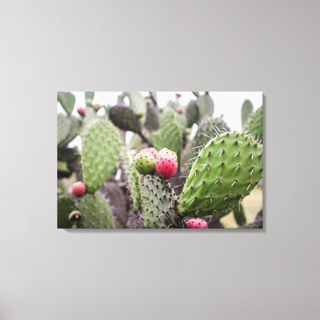Close Up Of Prickly Pear Cactus Canvas Print (Front)