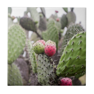 Close Up Of Prickly Pear Cactus Ceramic Tile