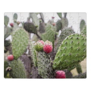 Close Up Of Prickly Pear Cactus Jigsaw Puzzle