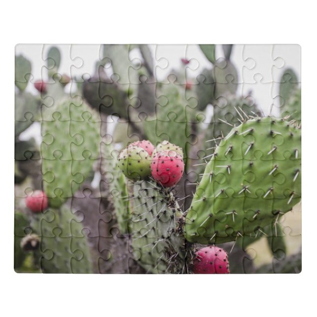 Close Up Of Prickly Pear Cactus Jigsaw Puzzle (Puzzle Horizontal)
