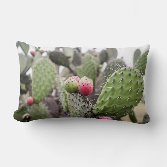 Close Up Of Prickly Pear Cactus Lumbar Pillow (Front)