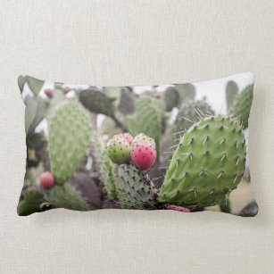 Close Up Of Prickly Pear Cactus Lumbar Pillow