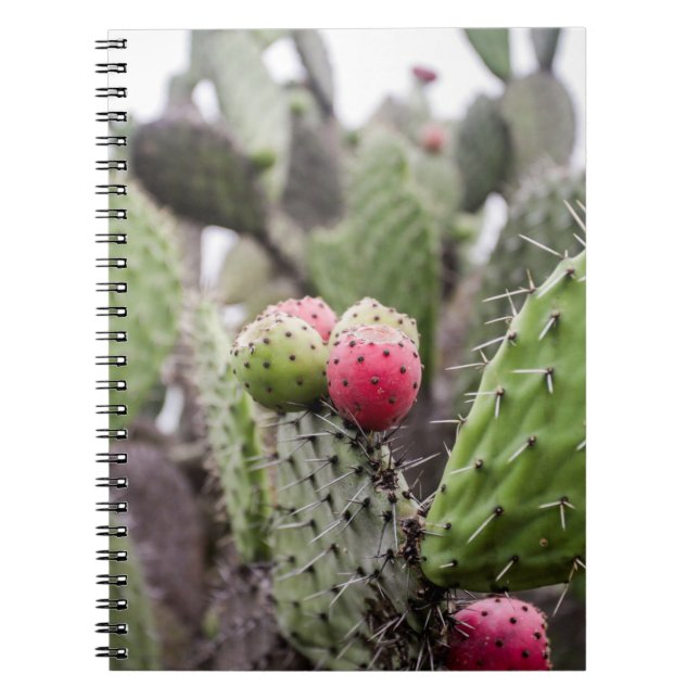 Close Up Of Prickly Pear Cactus Notebook (Front)