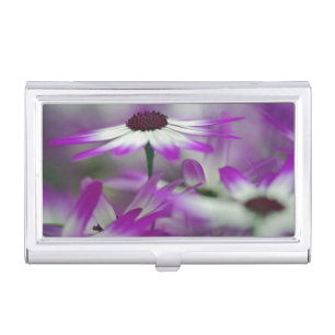 Close-up of purple flower, Keukenhof Garden, Business Card Holder