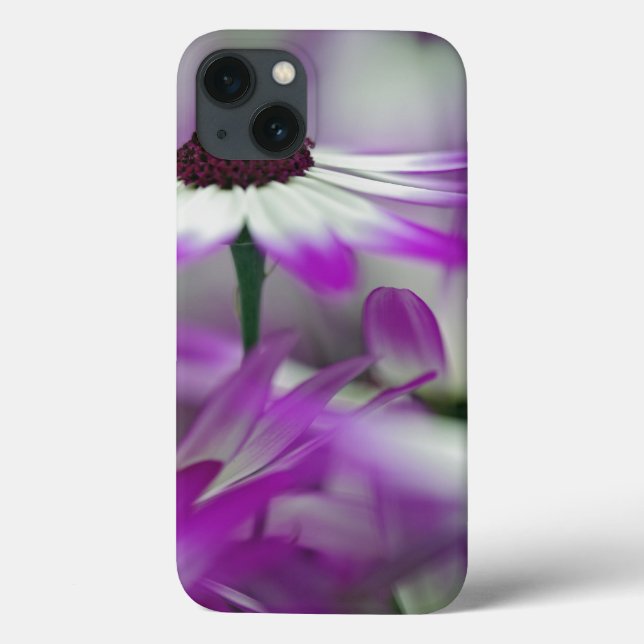 Close-up of purple flower, Keukenhof Garden, Case-Mate iPhone Case (Back)
