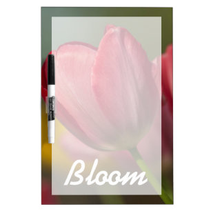 Close-up of red and yellow tulips in garden dry erase board