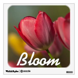 Close-up of red and yellow tulips in garden wall decal