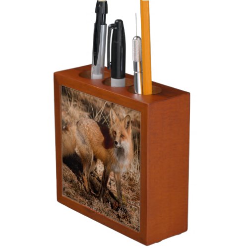 Close_up of red fox pencil holder