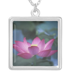 Close-up of red lotus flower and green leaves, silver plated necklace