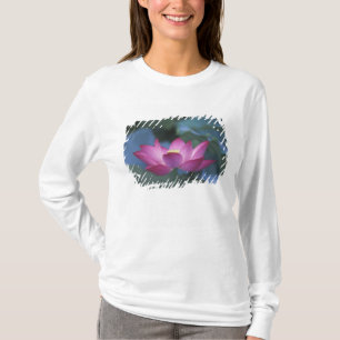 Close-up of red lotus flower and green leaves, T-Shirt