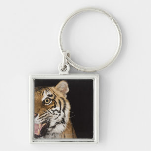 Close up of roaring tiger's face keychain