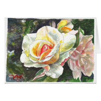 Close-up of Roses Cards