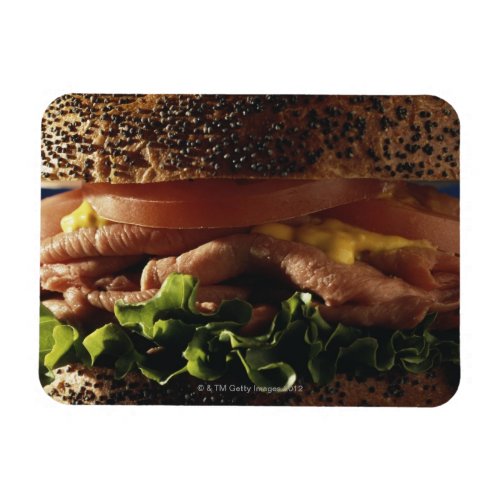 Close_up of sandwich magnet