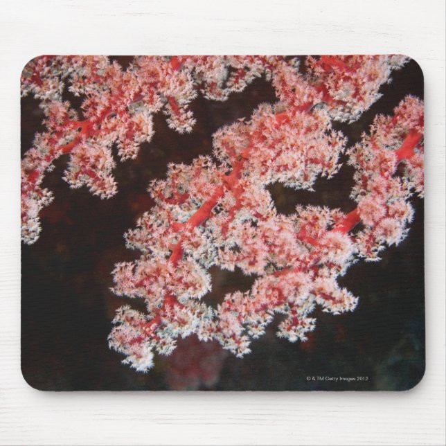 Close-up of Sea Fan underwater, North Sulawesi Mouse Pad (Front)