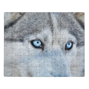 Close up of Siberian Husky with Blue Eyes Jigsaw Puzzle