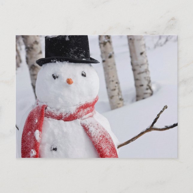 Close-Up of Snowman with Scarf and Top Hat Holiday Postcard (Front)