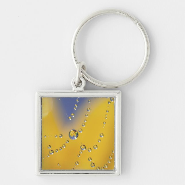 Close-up of spider web with dew drops keychain (Front)
