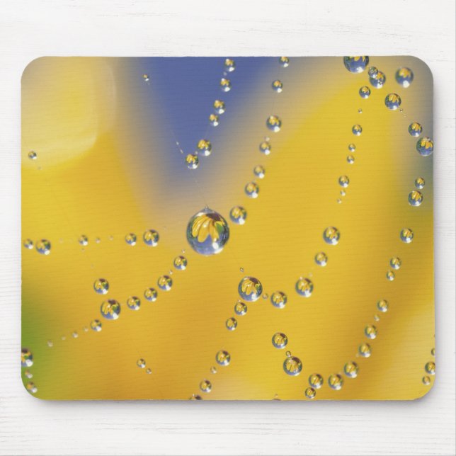 Close-up of spider web with dew drops mouse pad (Front)