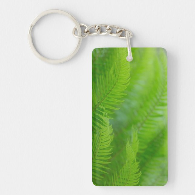 Close-up of sword fern keychain (Front)
