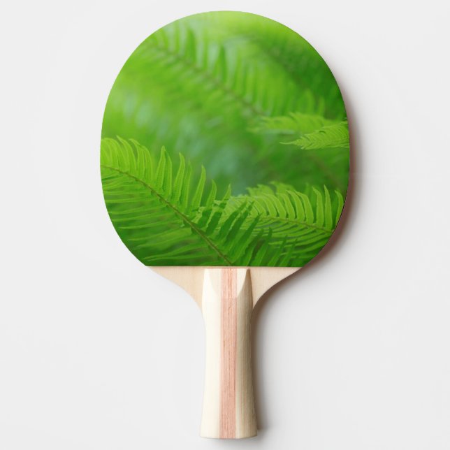 Close-up of sword fern Ping-Pong paddle (Front)