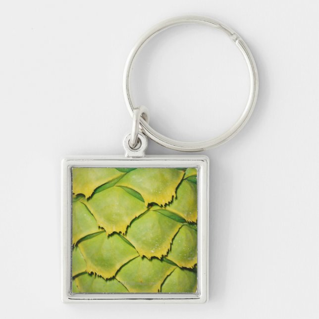 Close-up of texture and pattern of tropical tree keychain (Front)