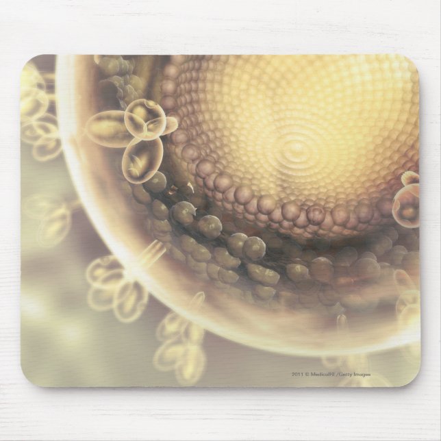 Close up of the structure of an HIV cell Mouse Pad (Front)