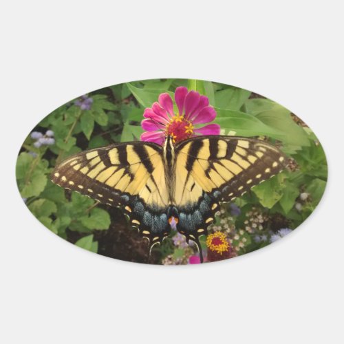 Close_up of Tiger Swallowtail Butterfly on Flower  Oval Sticker