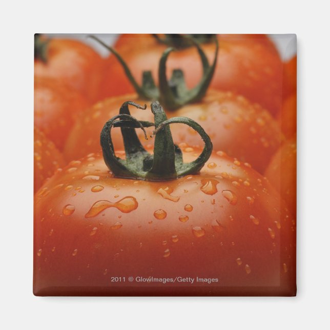 Close-up of tomatoes 2 magnet (Front)